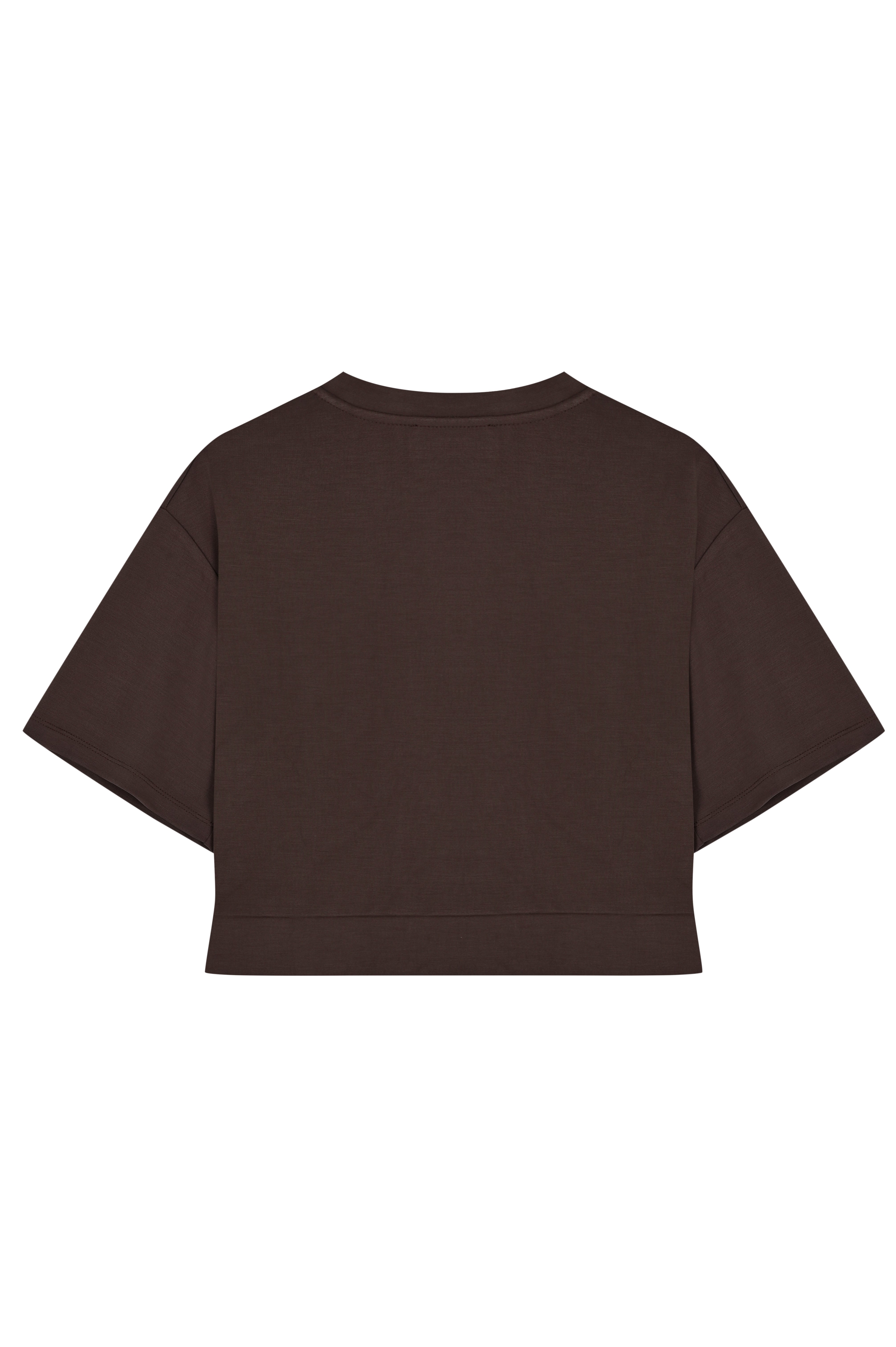 İşleme Detaylı Kahverengi Crop Modal Karışımlı Örme Tişört