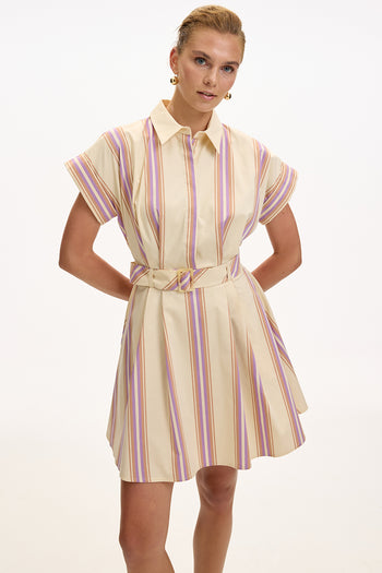 Gömlek Yaka Kısa Kollu Kemerli Cepli Regular Mini Çok Renkli Elbise