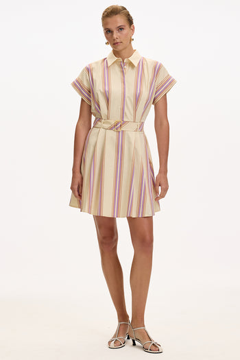 Gömlek Yaka Kısa Kollu Kemerli Cepli Regular Mini Çok Renkli Elbise